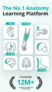 Teach-Me-Anatomy 1