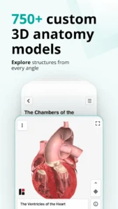 Teach-Me-Anatomy 3