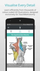 Teach-Me-Anatomy-Pro 3