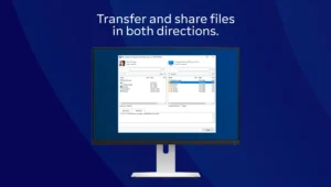 TeamViewer-Host 2