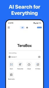 Terabox 3