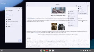Text-Editor 11