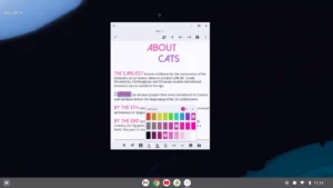 Text-Editor 12