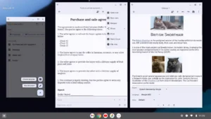 Text-Editor 14