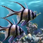 real aquarium logo