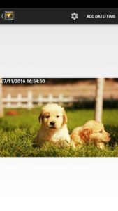 Timestamp-Photo 1