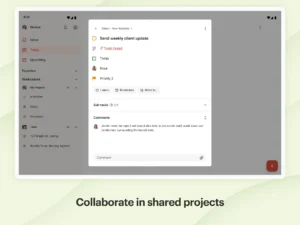 Todoist-To-Do-List-Tasks 10