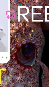 Tumblr 6