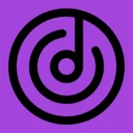 VIVI Music  logo