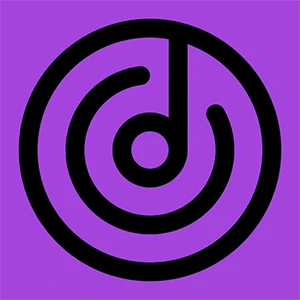 VIVI Music  logo