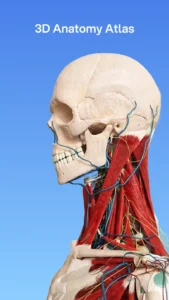 VOKA-3D-Anatomy-and-Physiology 1