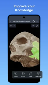 VOKA-3D-Anatomy-and-Physiology 3