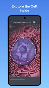 VOKA-3D-Anatomy-and-Physiology 4