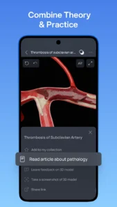 VOKA-3D-Anatomy-and-Physiology 5
