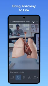 VOKA-3D-Anatomy-and-Physiology 7
