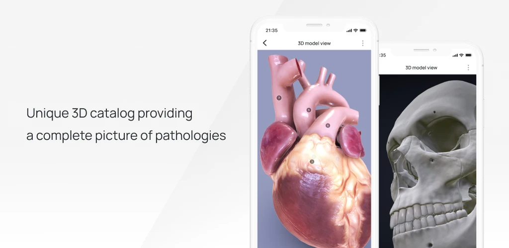 VOKA 3D Anatomy and Physiology VOKA 3D Anatomy and Physiology