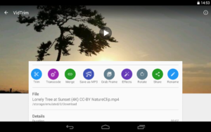 VidTrim-Pro 11