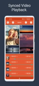 Video-Collage-Maker 3