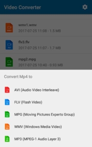 Video-Converter-MP3-AVI-MPEG-GIF-FLV-WMV-MP4 2