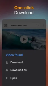 Video-Downloader 1