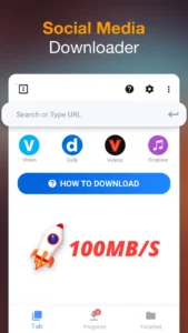 Video-Downloader 2