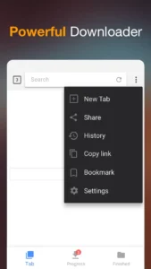 Video-Downloader 6