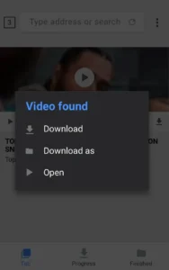 Video-Downloader 7