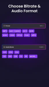 Video-to-Audio-MP3-Converter 4