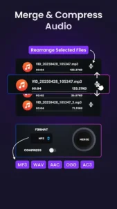 Video-to-Audio-MP3-Converter 7