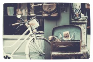 Vignette・photo-effects 10