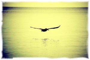 Vignette・photo-effects 6