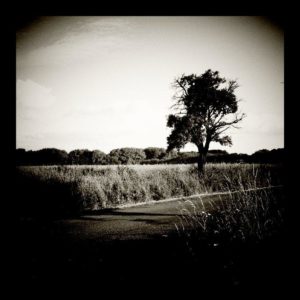 Vignette・photo-effects 7