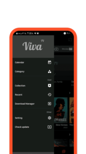 VivaTV 5