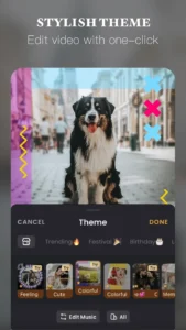 VivaVideo-Video-Editor 2