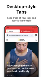 Vivaldi-Browser 2