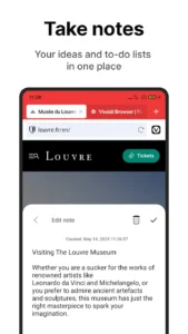 Vivaldi-Browser 6