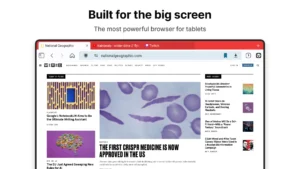 Vivaldi-Browser 10