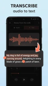 Sound-Recorder-Plus 2