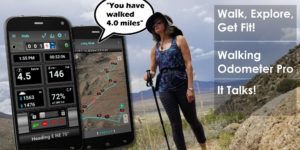 Walking-Odometer-Pro-Premium 7