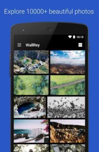 WallRey-Elegant-HD-wallpaper 1