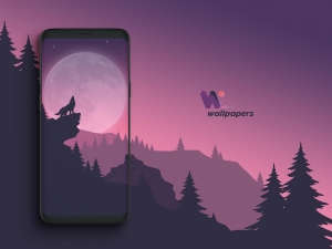 Wallpin-Wallpapers 1