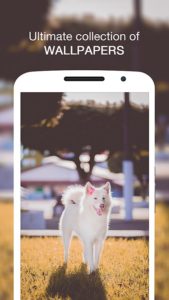 Wallpin-HD-Wallpapers-Pro 7