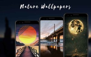 Wallpixel-Premium 8