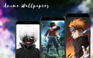 Wallpixel-Premium 4