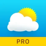 Weather - Meteored Pro News logo