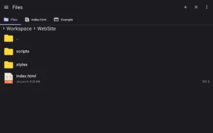 WebCode 12