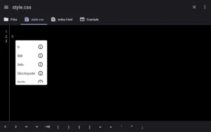 WebCode 13