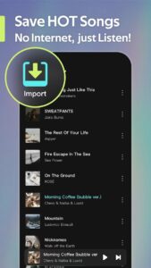 Offline-Music-Player-Weezer 1