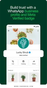 WhatsApp-Business 1