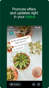 WhatsApp-Business 2